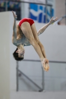 Thumbnail - 2019 - Alpe Adria Trieste - Diving Sports 03038_03263.jpg