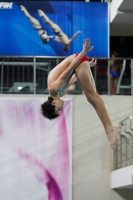 Thumbnail - 2019 - Alpe Adria Trieste - Diving Sports 03038_03269.jpg