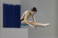 Thumbnail - 2019 - Alpe Adria Trieste - Diving Sports 03038_03310.jpg