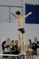 Thumbnail - Boys B - Cristian - Diving Sports - 2019 - Alpe Adria Trieste - Participants - Italy - Boys 03038_03322.jpg