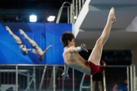 Thumbnail - 2019 - Alpe Adria Trieste - Diving Sports 03038_03459.jpg