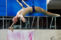 Thumbnail - 2019 - Alpe Adria Trieste - Diving Sports 03038_03877.jpg