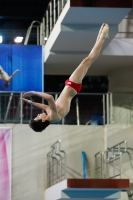 Thumbnail - 2019 - Alpe Adria Trieste - Diving Sports 03038_03941.jpg