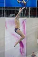 Thumbnail - 2019 - Alpe Adria Trieste - Diving Sports 03038_03951.jpg