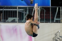 Thumbnail - 2019 - Alpe Adria Trieste - Diving Sports 03038_03974.jpg