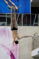 Thumbnail - Boys B - Cristian - Plongeon - 2019 - Alpe Adria Trieste - Participants - Italy - Boys 03038_04008.jpg