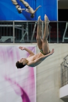 Thumbnail - 2019 - Alpe Adria Trieste - Diving Sports 03038_04149.jpg