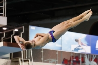 Thumbnail - 2019 - Alpe Adria Trieste - Diving Sports 03038_04303.jpg