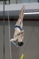 Thumbnail - 2019 - Alpe Adria Trieste - Plongeon 03038_04391.jpg