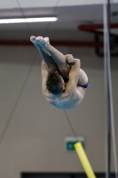 Thumbnail - 2019 - Alpe Adria Trieste - Plongeon 03038_04418.jpg