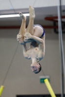 Thumbnail - 2019 - Alpe Adria Trieste - Diving Sports 03038_04445.jpg