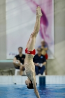 Thumbnail - 2019 - Alpe Adria Trieste - Diving Sports 03038_04467.jpg