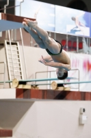 Thumbnail - 2019 - Alpe Adria Trieste - Diving Sports 03038_04495.jpg