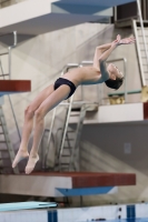 Thumbnail - 2019 - Alpe Adria Trieste - Diving Sports 03038_04619.jpg