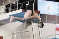 Thumbnail - Boys B - Cristian - Diving Sports - 2019 - Alpe Adria Trieste - Participants - Italy - Boys 03038_04644.jpg