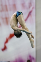 Thumbnail - 2019 - Alpe Adria Trieste - Diving Sports 03038_04650.jpg