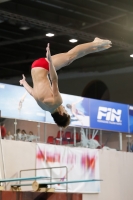 Thumbnail - 2019 - Alpe Adria Trieste - Diving Sports 03038_04744.jpg