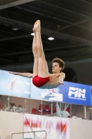 Thumbnail - 2019 - Alpe Adria Trieste - Plongeon 03038_04746.jpg