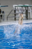 Thumbnail - 2019 - Alpe Adria Trieste - Plongeon 03038_04796.jpg