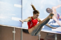 Thumbnail - 2019 - Alpe Adria Trieste - Diving Sports 03038_04878.jpg