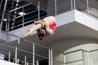 Thumbnail - 2019 - Alpe Adria Trieste - Diving Sports 03038_04915.jpg