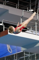 Thumbnail - 2019 - Alpe Adria Trieste - Diving Sports 03038_05055.jpg