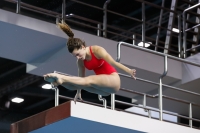 Thumbnail - 2019 - Alpe Adria Trieste - Diving Sports 03038_05079.jpg