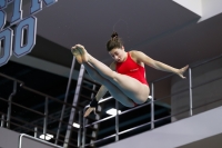 Thumbnail - 2019 - Alpe Adria Trieste - Diving Sports 03038_05090.jpg