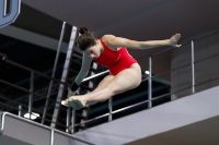 Thumbnail - 2019 - Alpe Adria Trieste - Diving Sports 03038_05093.jpg