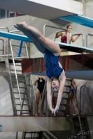 Thumbnail - 2019 - Alpe Adria Trieste - Diving Sports 03038_05104.jpg