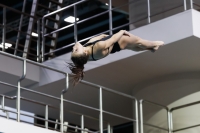 Thumbnail - 2019 - Alpe Adria Trieste - Plongeon 03038_05138.jpg