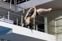 Thumbnail - 2019 - Alpe Adria Trieste - Diving Sports 03038_05140.jpg