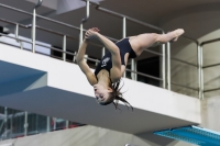 Thumbnail - 2019 - Alpe Adria Trieste - Diving Sports 03038_05141.jpg