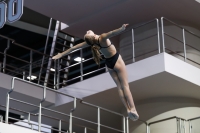 Thumbnail - 2019 - Alpe Adria Trieste - Diving Sports 03038_05200.jpg