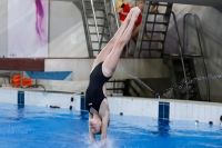 Thumbnail - 2019 - Alpe Adria Trieste - Diving Sports 03038_05210.jpg