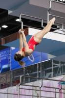 Thumbnail - 2019 - Alpe Adria Trieste - Diving Sports 03038_05244.jpg