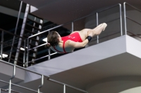 Thumbnail - 2019 - Alpe Adria Trieste - Diving Sports 03038_05261.jpg