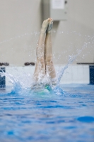 Thumbnail - 2019 - Alpe Adria Trieste - Diving Sports 03038_05334.jpg