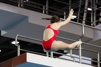 Thumbnail - 2019 - Alpe Adria Trieste - Diving Sports 03038_05371.jpg