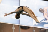 Thumbnail - 2019 - Alpe Adria Trieste - Diving Sports 03038_05390.jpg