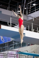 Thumbnail - 2019 - Alpe Adria Trieste - Diving Sports 03038_05440.jpg