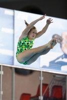 Thumbnail - 2019 - Alpe Adria Trieste - Diving Sports 03038_05540.jpg