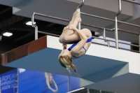 Thumbnail - 2019 - Alpe Adria Trieste - Diving Sports 03038_05562.jpg