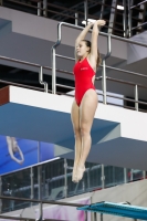 Thumbnail - 2019 - Alpe Adria Trieste - Diving Sports 03038_05574.jpg