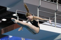 Thumbnail - 2019 - Alpe Adria Trieste - Diving Sports 03038_05601.jpg