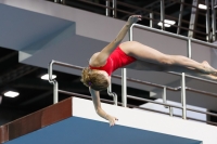 Thumbnail - Girls A - Giulia Zerjal - Diving Sports - 2019 - Alpe Adria Trieste - Participants - Italy - Girls 03038_05621.jpg