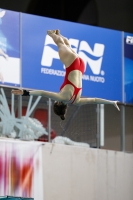 Thumbnail - 2019 - Alpe Adria Trieste - Diving Sports 03038_05651.jpg