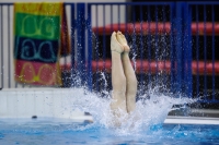 Thumbnail - 2019 - Alpe Adria Trieste - Diving Sports 03038_05654.jpg