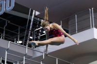 Thumbnail - 2019 - Alpe Adria Trieste - Diving Sports 03038_05694.jpg