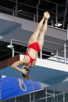 Thumbnail - 2019 - Alpe Adria Trieste - Diving Sports 03038_05792.jpg